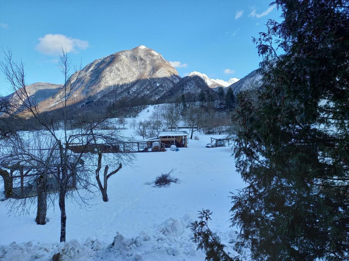 Guest House Vila Korosec Bovec Bagian luar foto